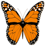 #7
