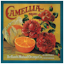 #4